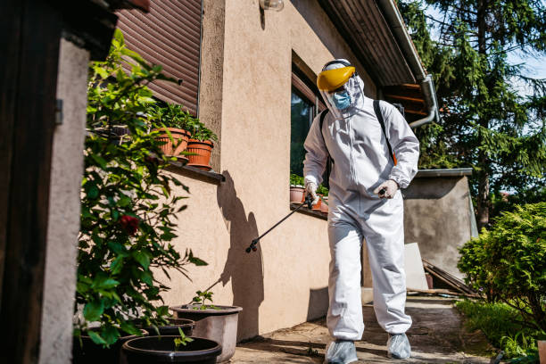 Best Affordable Pest Control Services  in Walterboro, SC