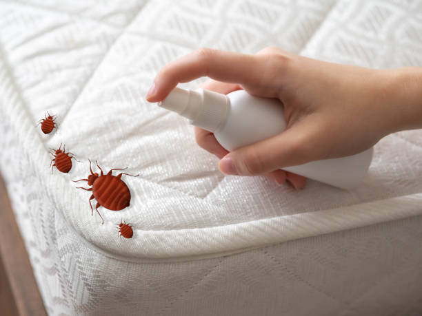 Best Commercial Pest Control Services  in Walterboro, SC